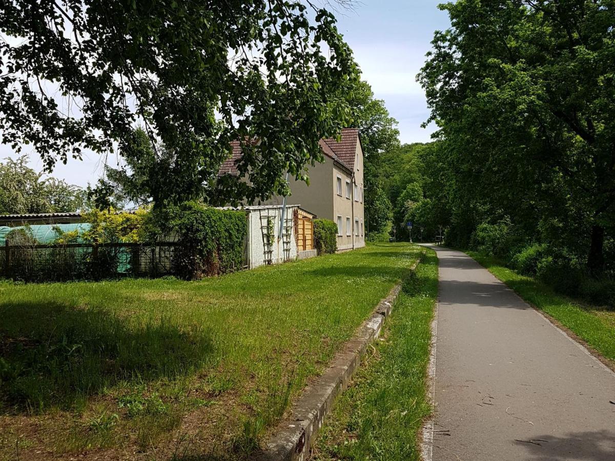 Ferienwohnung Am Thueringen Radweg Rauda Dış mekan fotoğraf